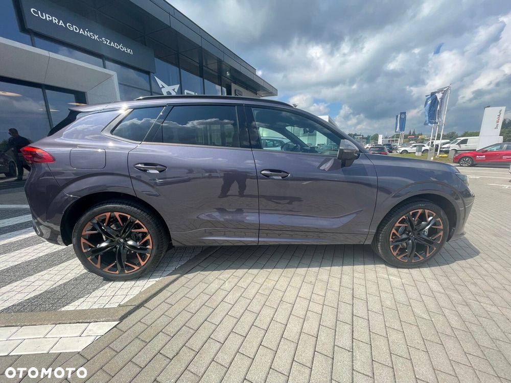 Cupra Terramar - 9