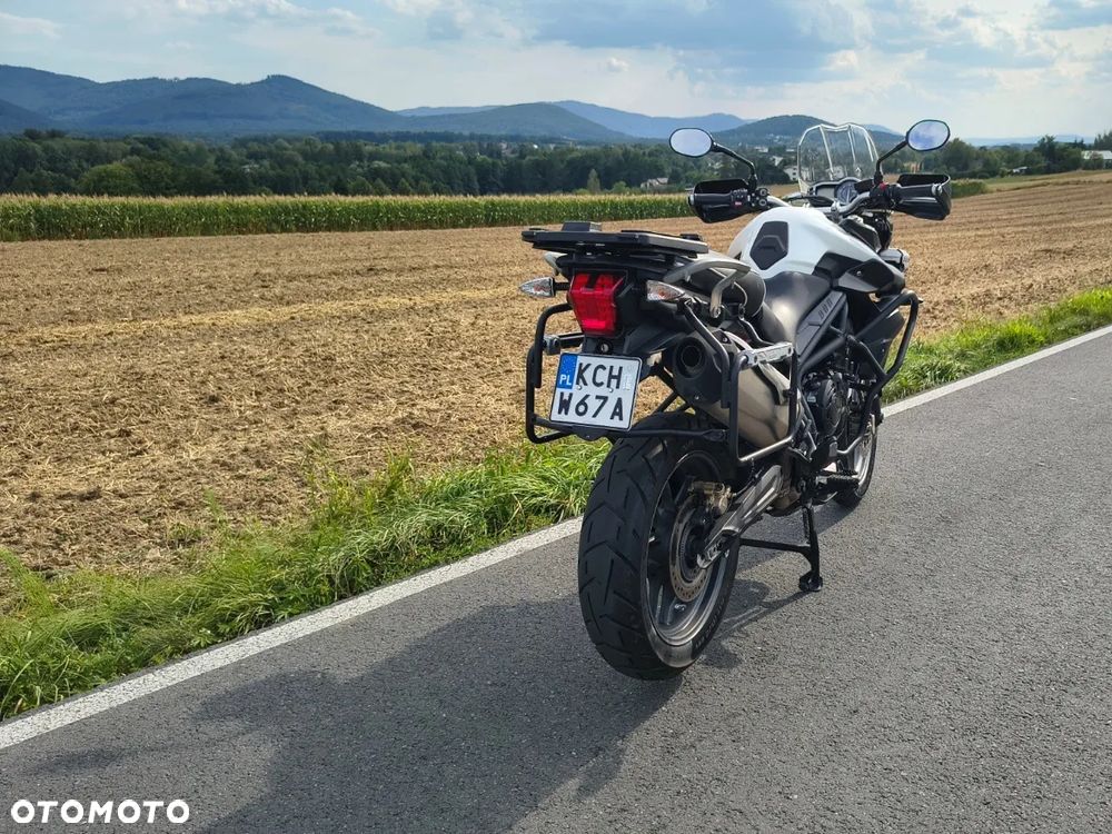 Triumph Tiger - 31