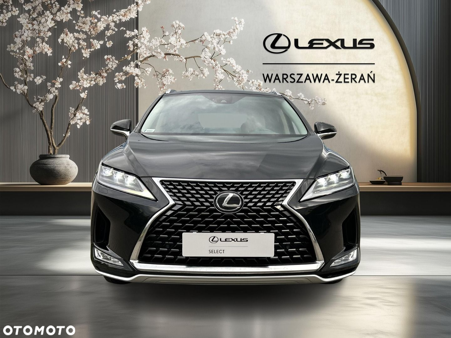 Lexus RX 300 F-Impression - 10