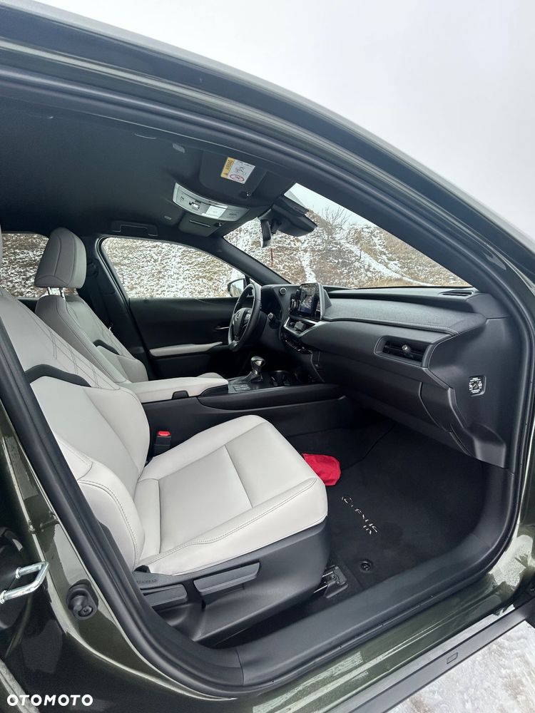 Lexus UX 250h F SPORT - 14