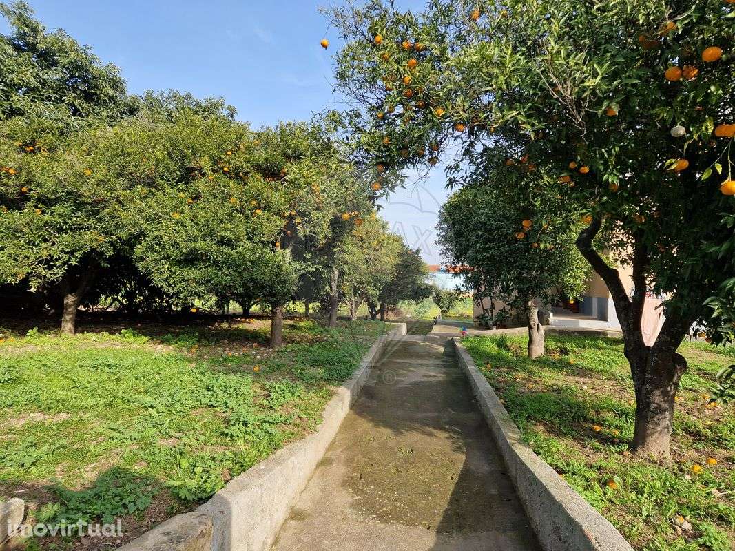 Terreno  para venda - Grande imagem: 3/18