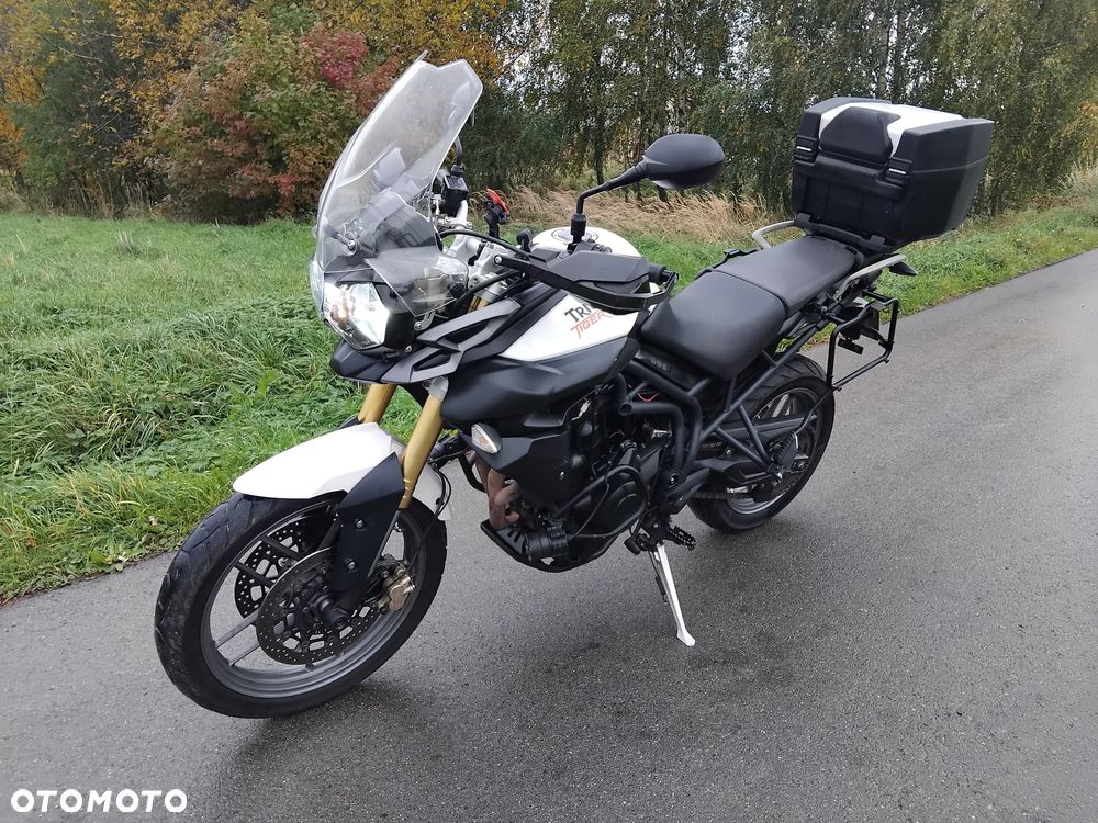 Triumph Tiger - 1