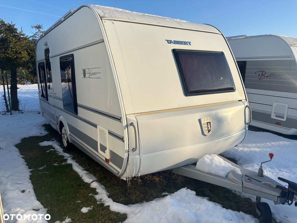 Tabbert Puccini - 17