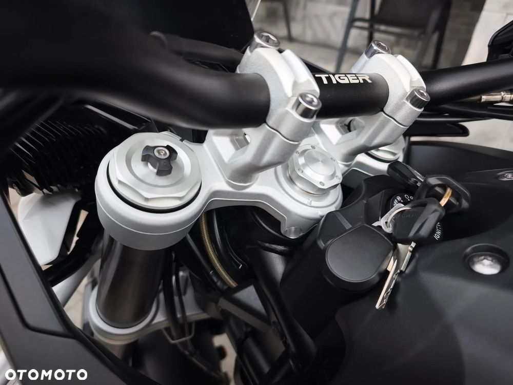 Triumph Tiger - 14