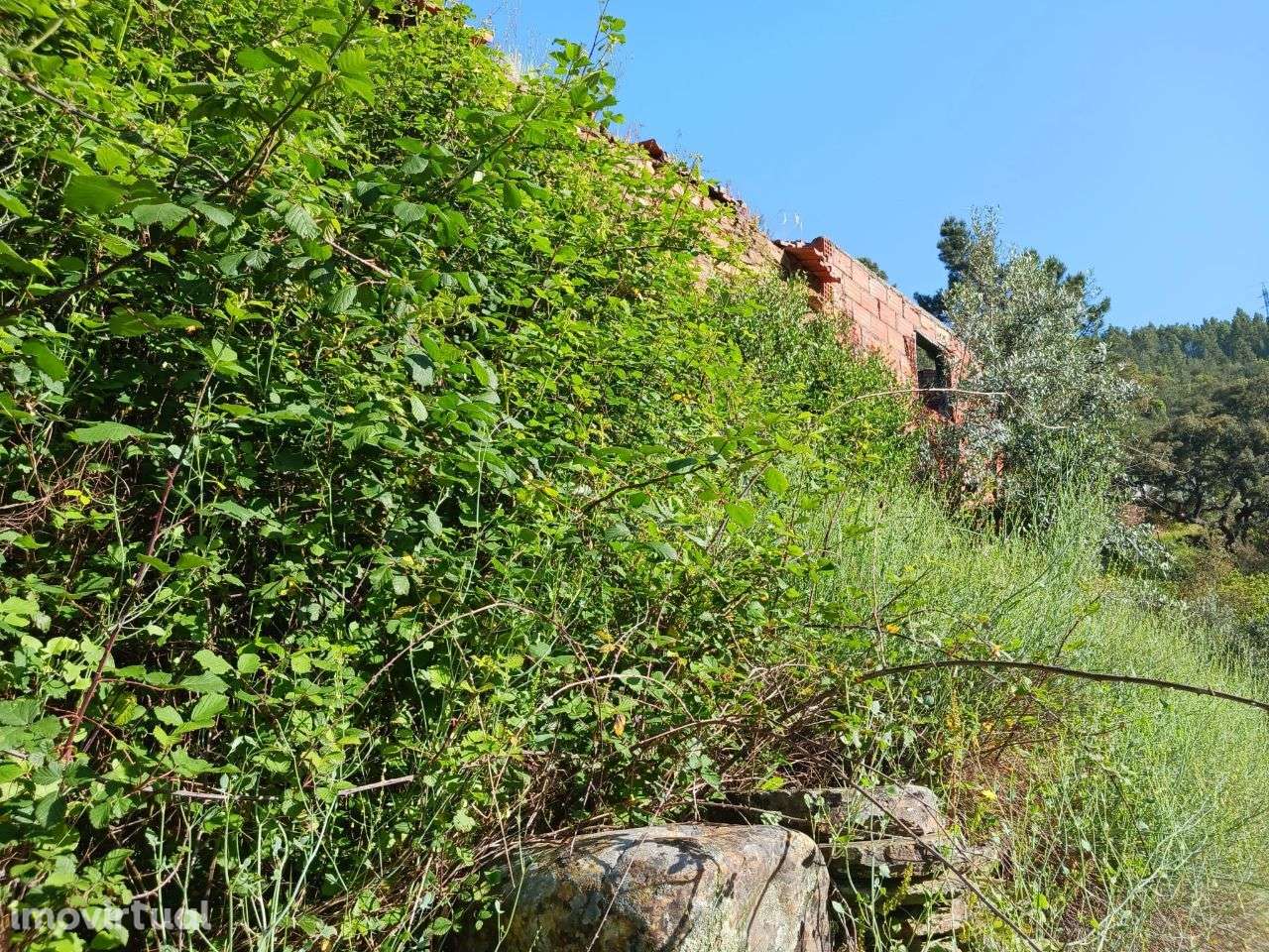 Terreno - Grande imagem: 4/9