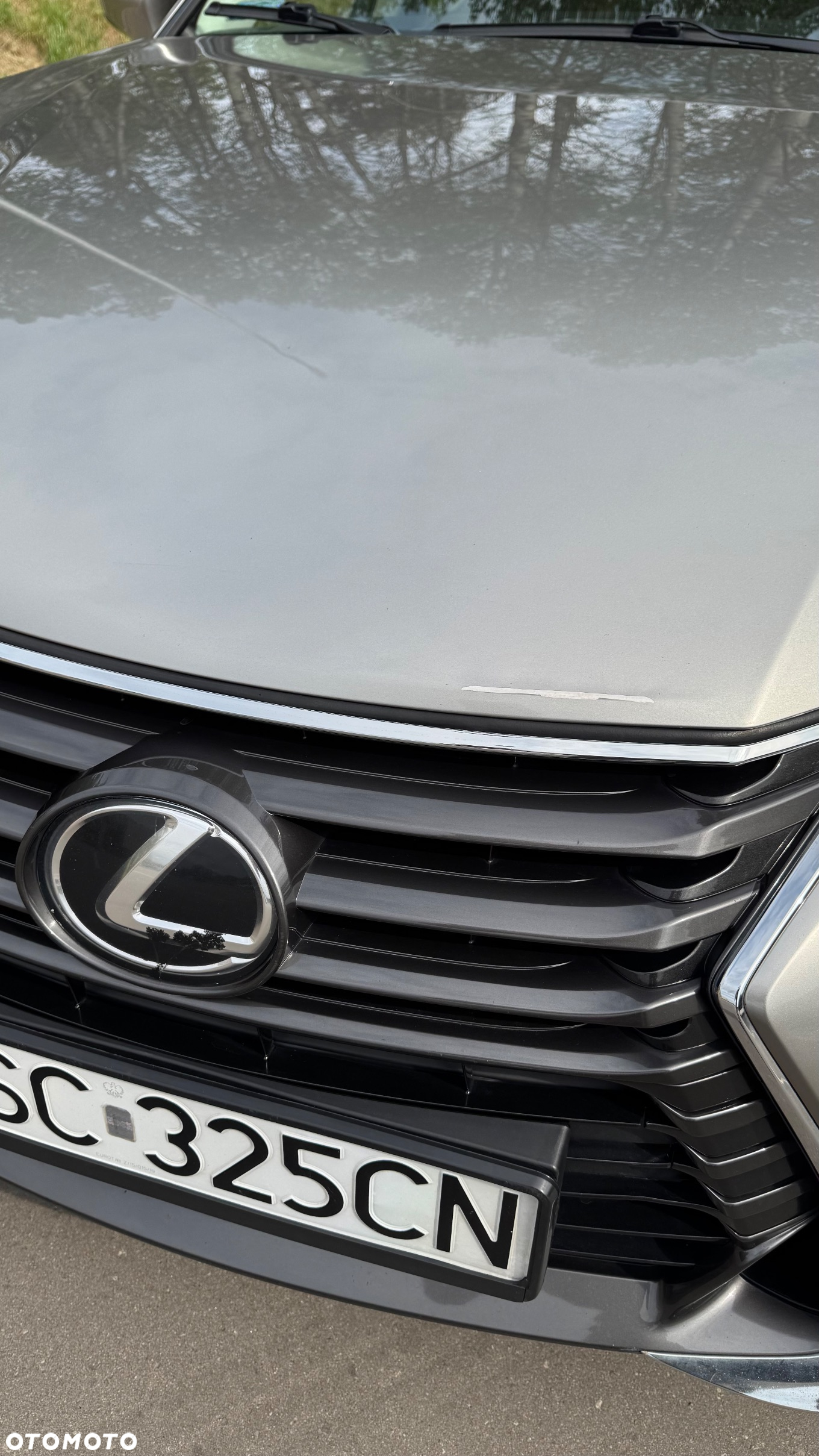 Lexus GS 200t / 300 Elite - 17