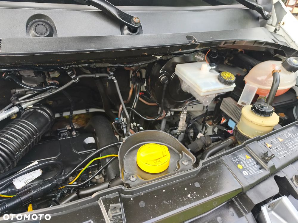 Renault MASTER , CHŁODNIA, MROŻNIA, KONTENER, - 4