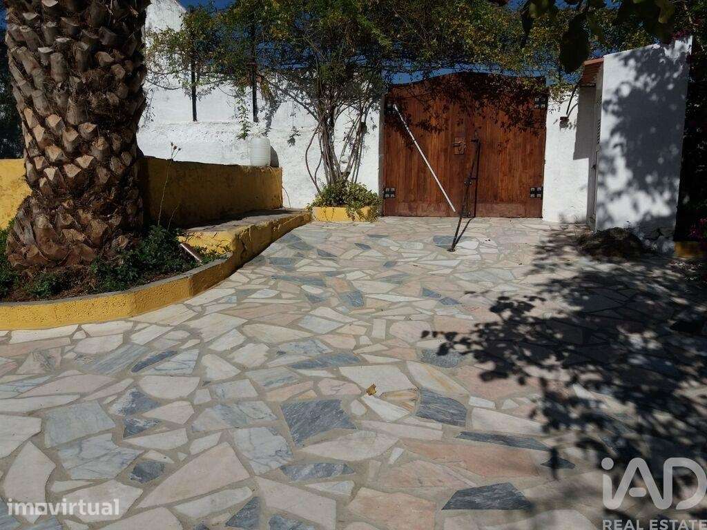 Quinta agricola em Gáfete de 910 m2 - Grande imagem: 2/5