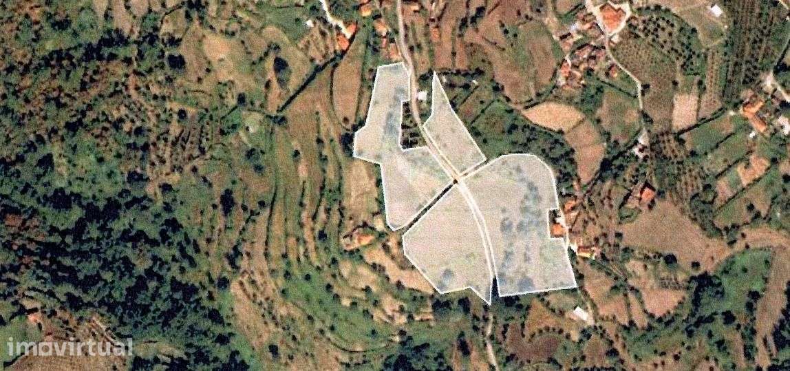 Quinta T3 Venda em Anreade e São Romão de Aregos,Resende - Grande imagem: 4/19