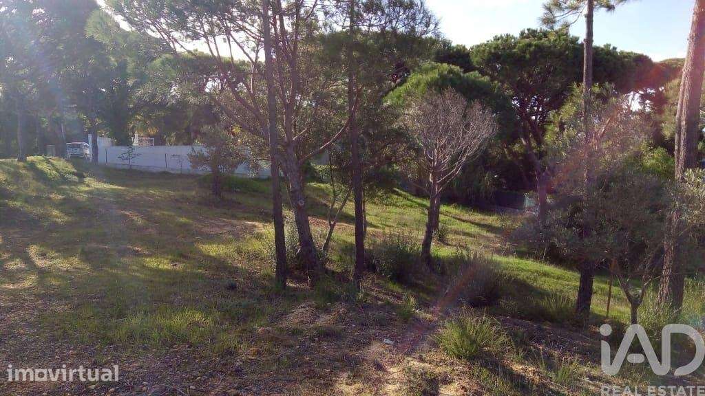 Terreno para construção em Almancil de 1055,00 m2 - Grande imagem: 3/6