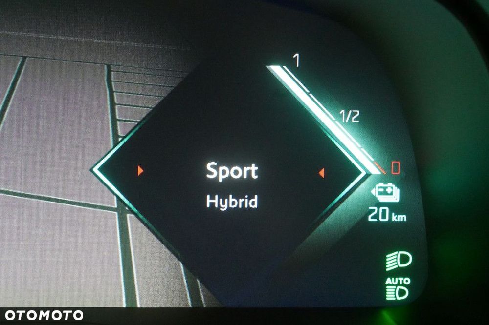 DS Automobiles DS 7 - 21