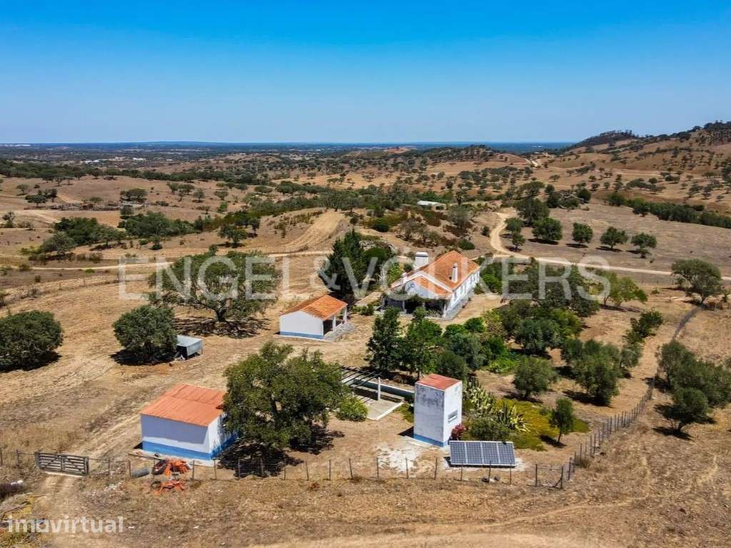 Monte na Serra de Grândola - Grande imagem: 3/29