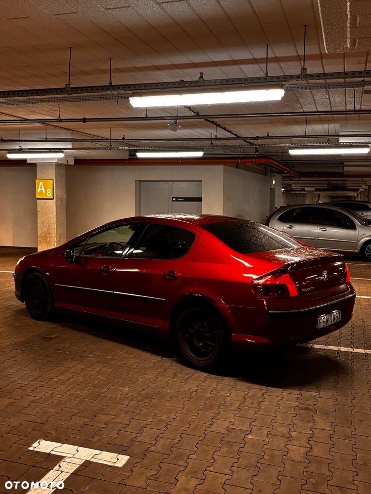 Peugeot 407 - 6