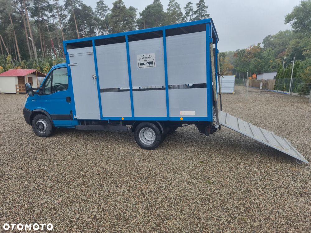 Iveco 65C180*do Żywca Bydła na,, B,, Opłacony - 15