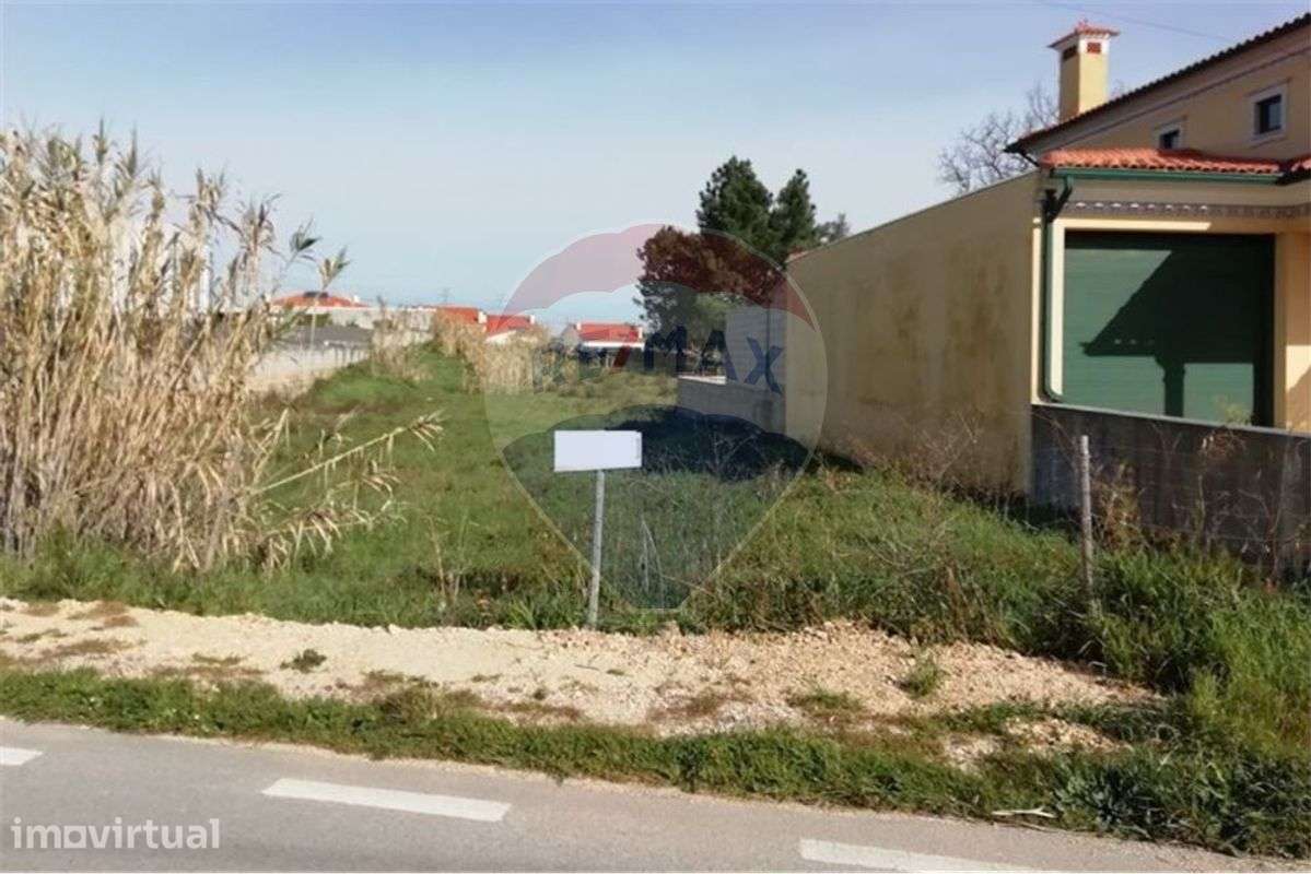 Terreno para Construção | São Lourenço do Bairro - Grande imagem: 3/5