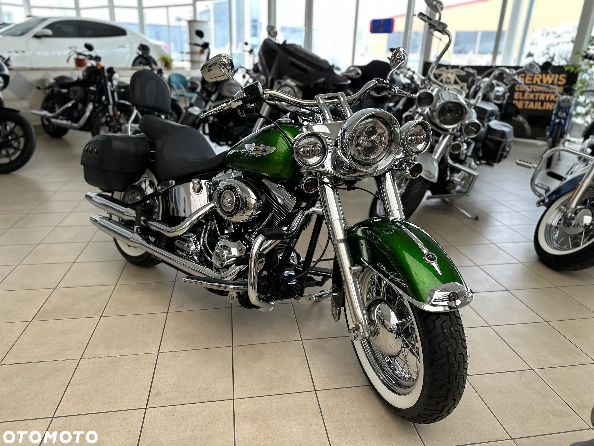 Harley-Davidson Softail - 7