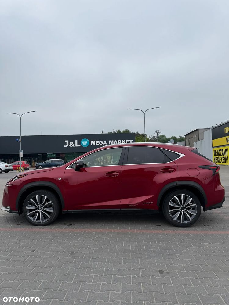 Lexus NX 300h F Sport AWD - 8