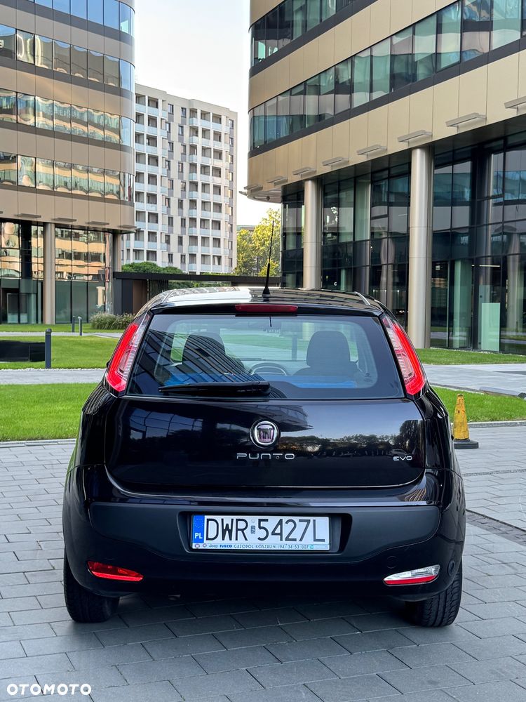 Fiat Punto - 5