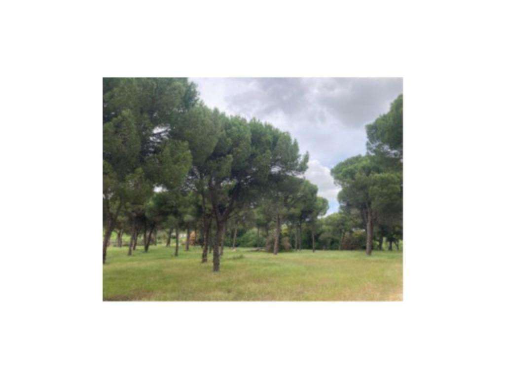 Terreno - até 100% Financiamento - Grande imagem: 3/5