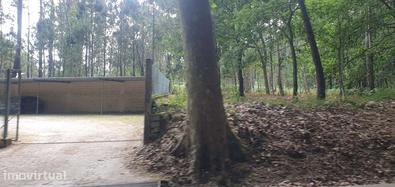 Espaço Comercial com muito potencial - Grande imagem: 4/5