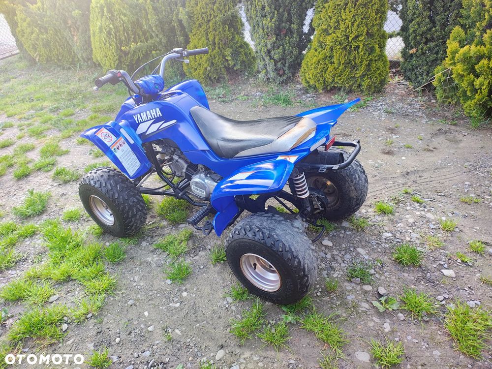 Yamaha Raptor - 4