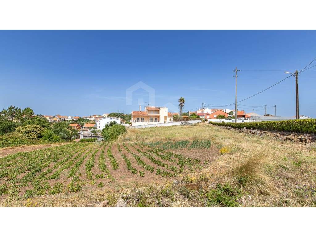Vende Terreno - Ericeira 15 Km, A Casa das Casas - Grande imagem: 2/13