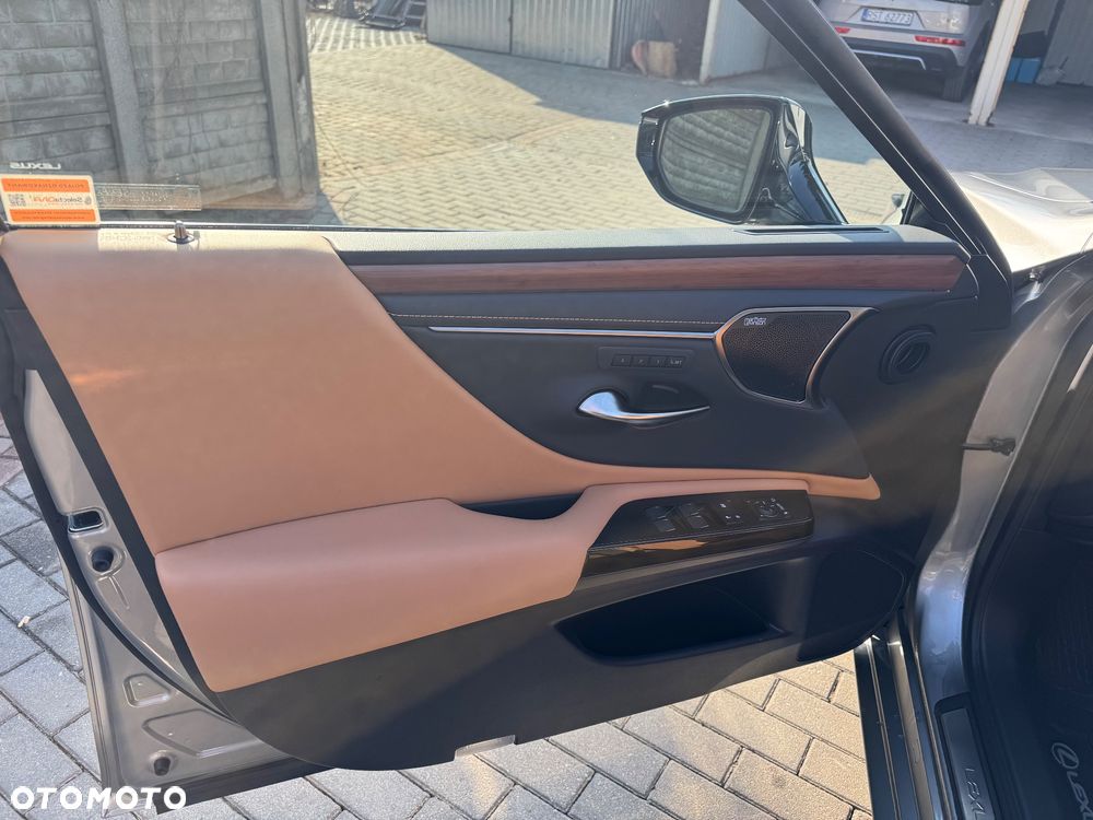 Lexus ES 300h Omotenashi - 14