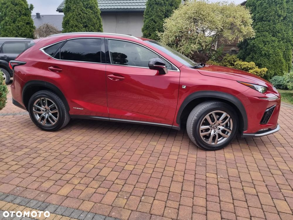 Lexus NX 300h F Sport Edition AWD - 29