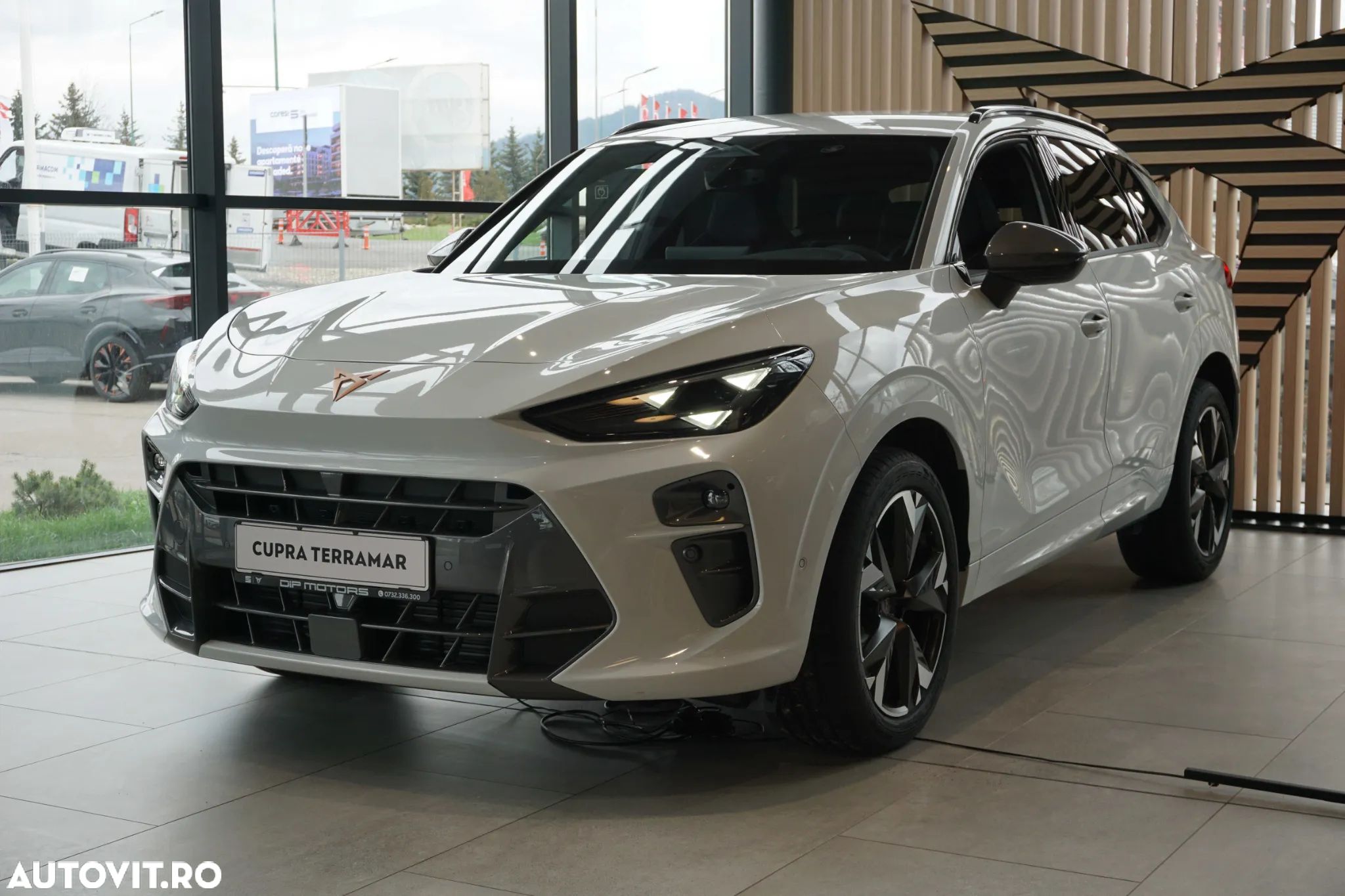 Cupra Terramar - 1
