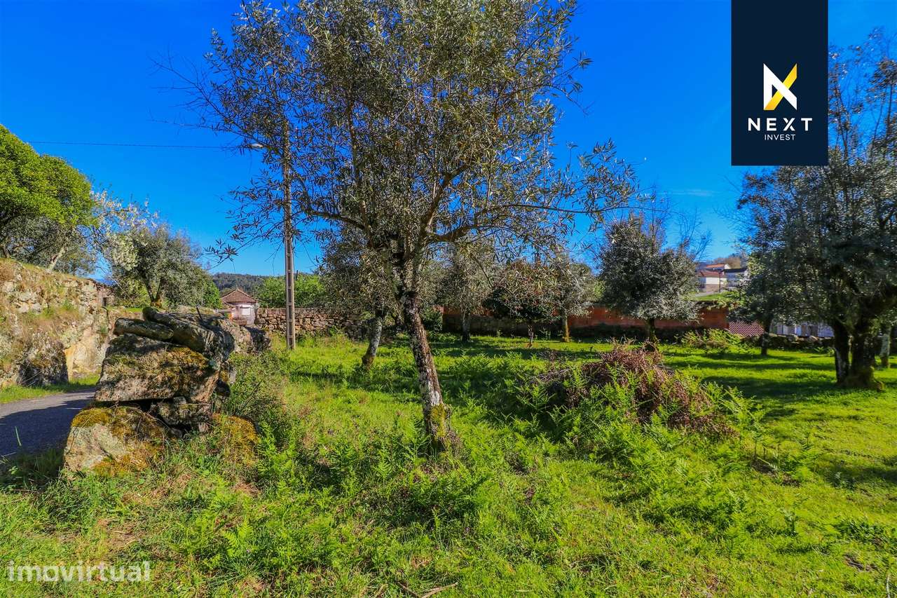 Terreno Urbano com 763 m² para Moradia Isolada | Vila Nova - Coutos | - Grande imagem: 5/8