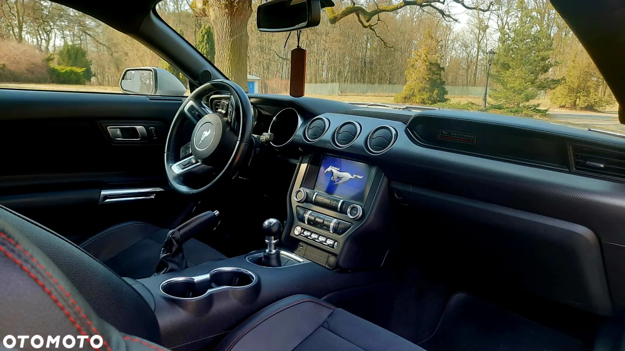 Ford Mustang 5.0 V8 GT - 12