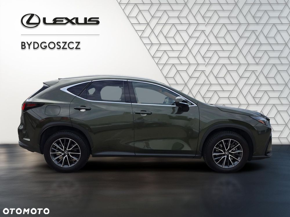 Lexus NX - 8