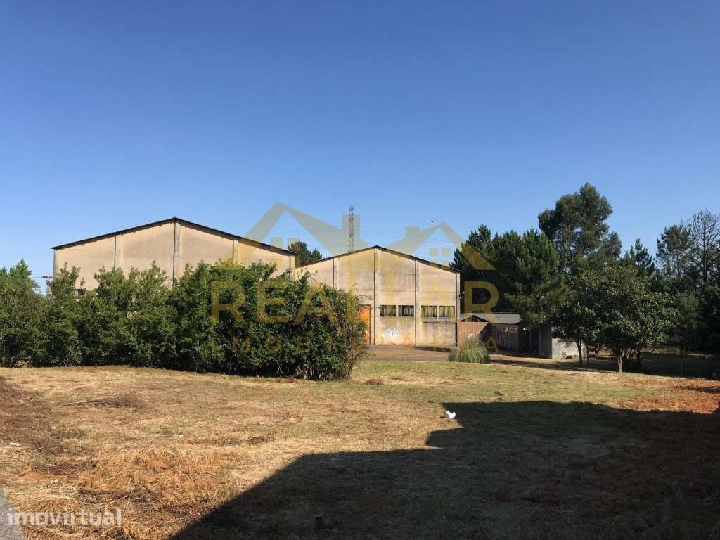 Armazém Industrial com Potencial de Expansão - Grande imagem: 4/16