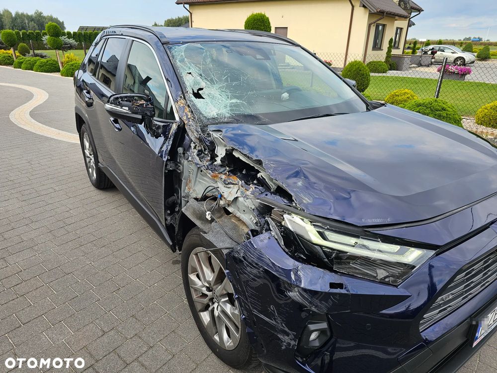 Toyota RAV4 2.5 Hybrid Executive 4x4 - 9