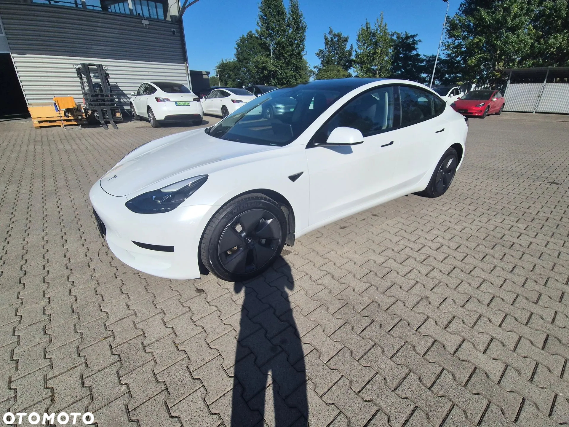 Tesla Model 3 RWD - 2