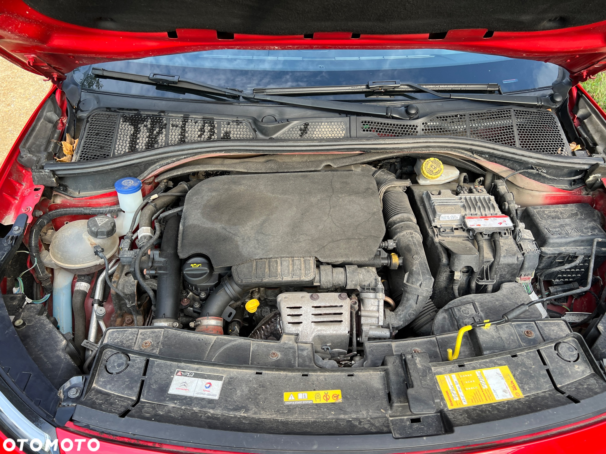 Citroën C4 Cactus 1.2 PureTech Feel S&S - 23