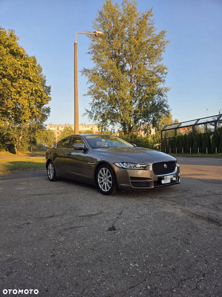 Jaguar XE - 3