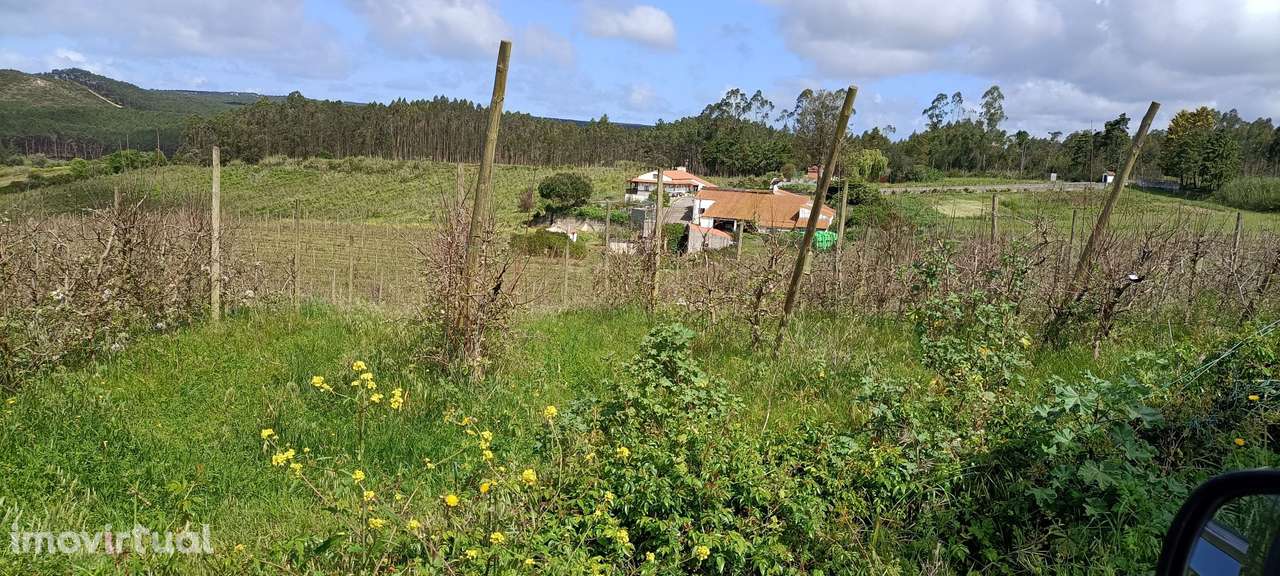 Quintinha Valado Frades Nazaré -Leiria - Grande imagem: 3/51