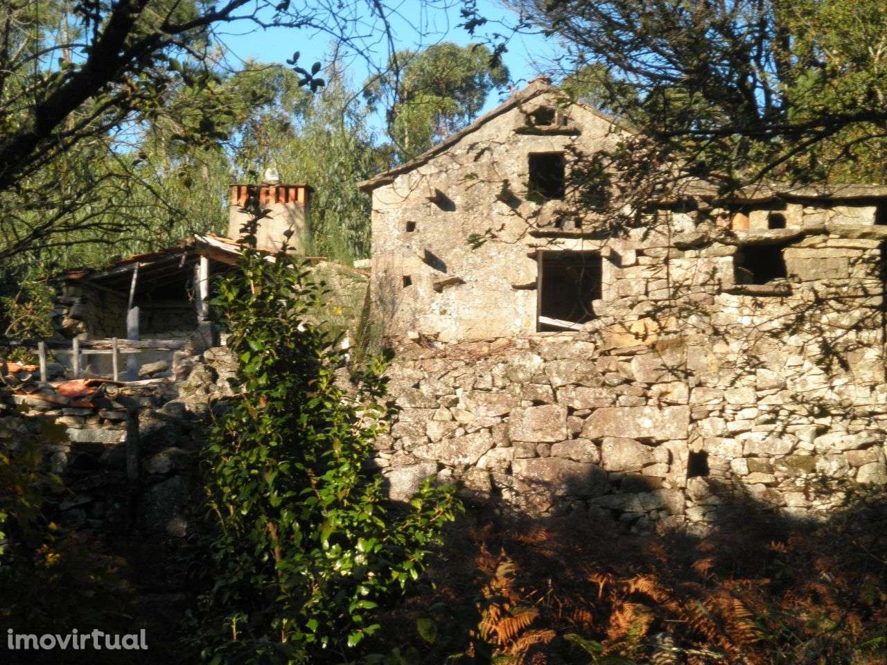 Quinta – Sever do Vouga - Grande imagem: 4/30