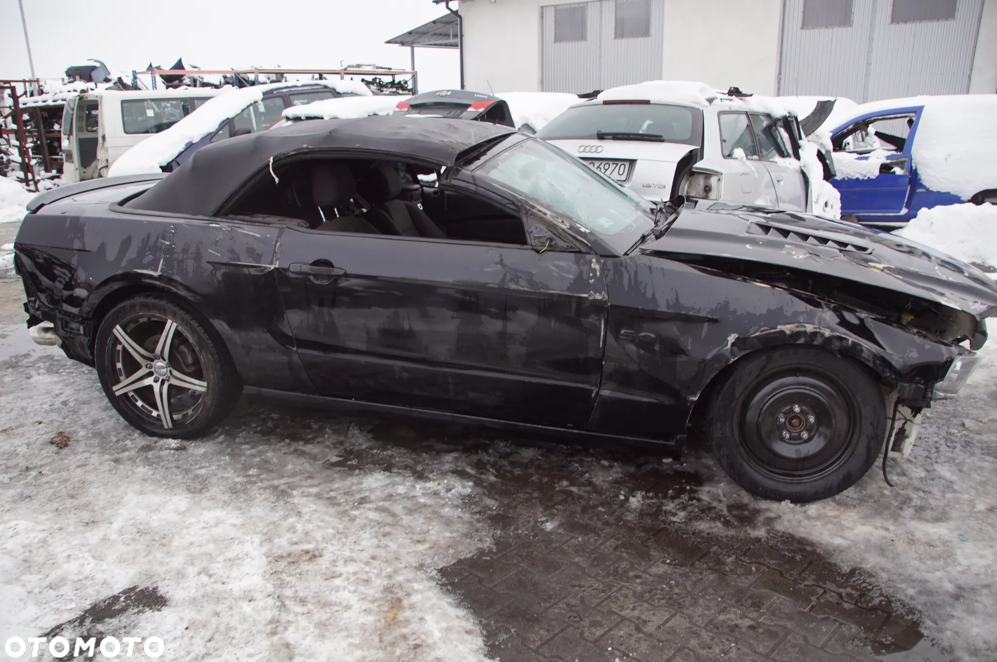 FORD MUSTANG 5.0 450KM 2014 CABRIO AUTO NA CZĘŚĆI 692324777 SKUP AUT MOTOCYKLI MASZYN ROLNICZYCH - 16