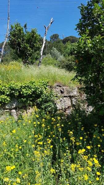 vende-se imóvel/terreno - Grande imagem: 2/11