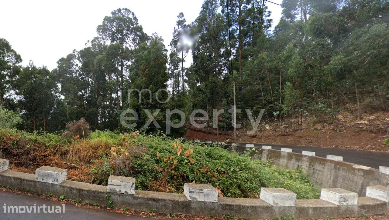 Terreno com 2710m2  com capacidade construtiva em Gaula, Madeira - Grande imagem: 5/10