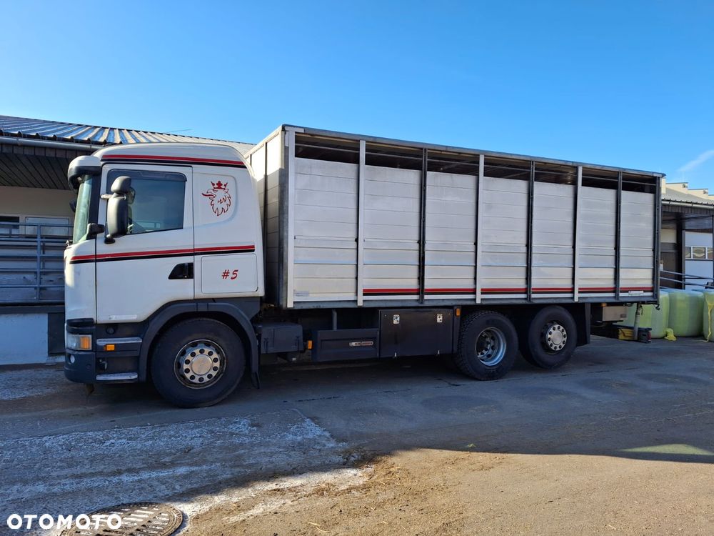 MAN TGX 18.400 DO ŻYWCA / ZWIERZĄT / BYDŁA / Z NIEMIEC / - 1