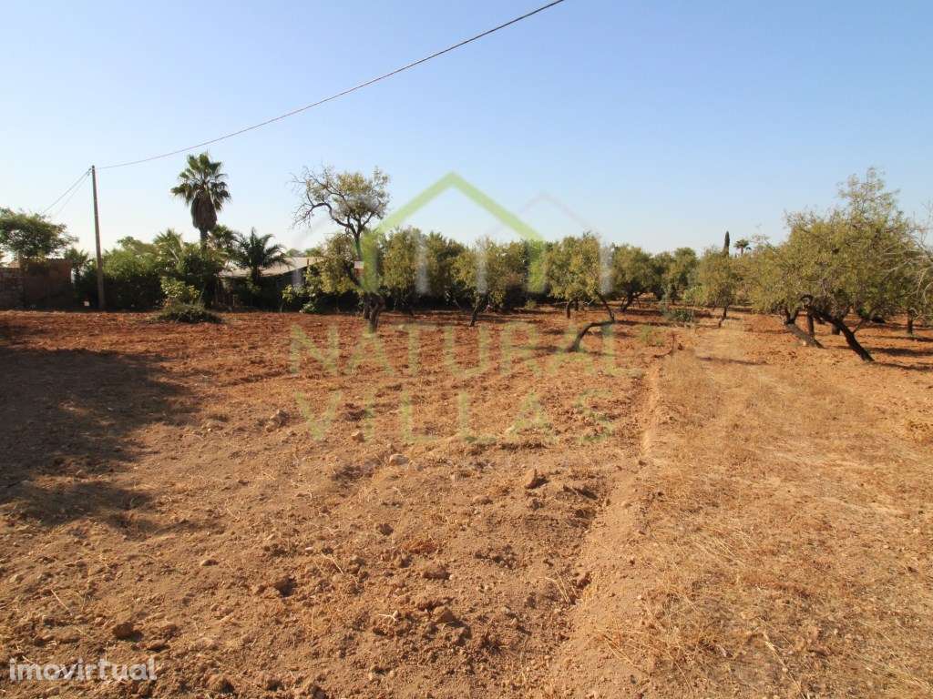 Casa Antiga e Terreno em Guilhim, Estoi - Grande imagem: 3/8