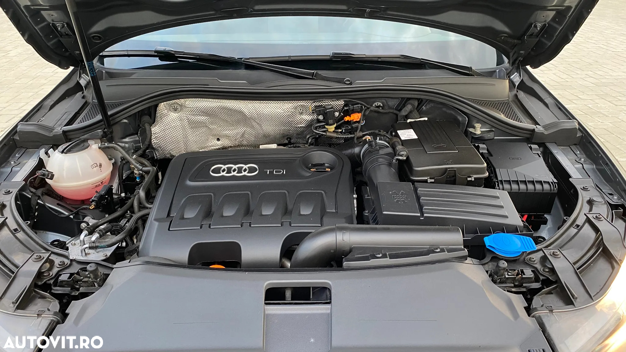 Audi Q3 2.0 TDI Quattro S-Tronic - 19