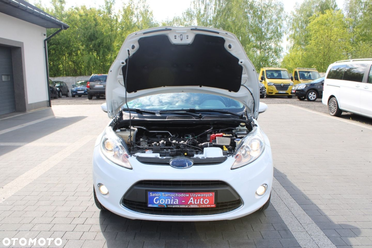 Ford Fiesta - 14