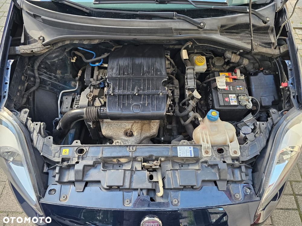 Fiat Punto - 15