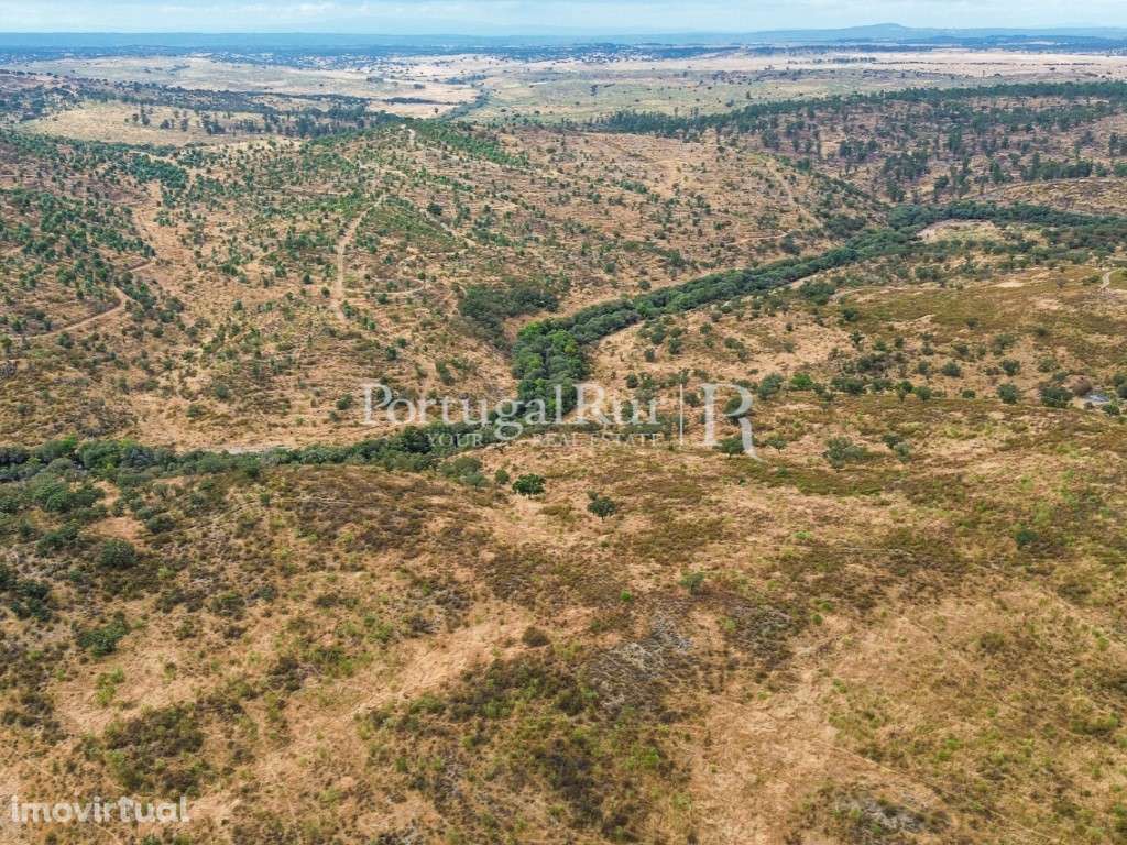 Propriedade agroflorestal com 39 hectares em Idanha-a-Nova - Grande imagem: 5/12