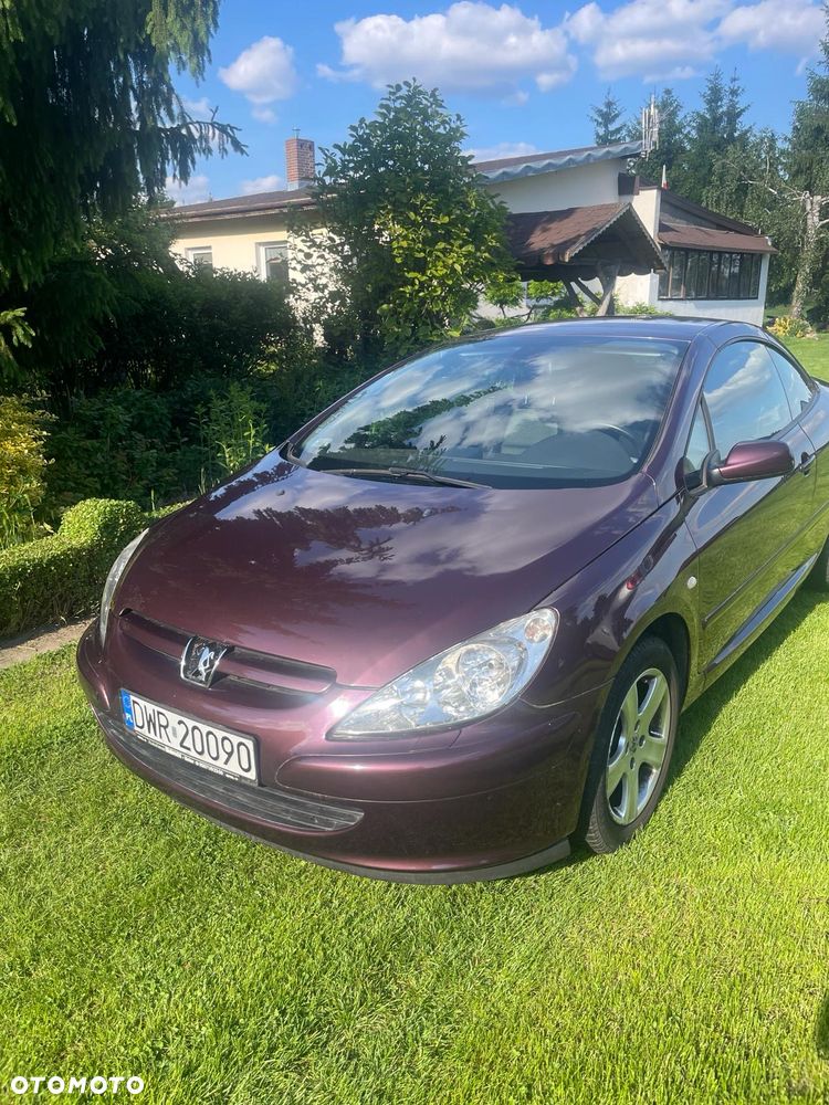 Peugeot 307 - 4