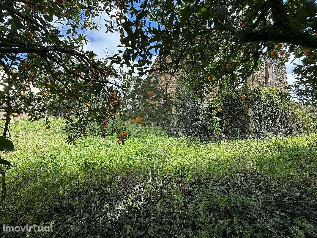 Terreno  para venda - Grande imagem: 5/21